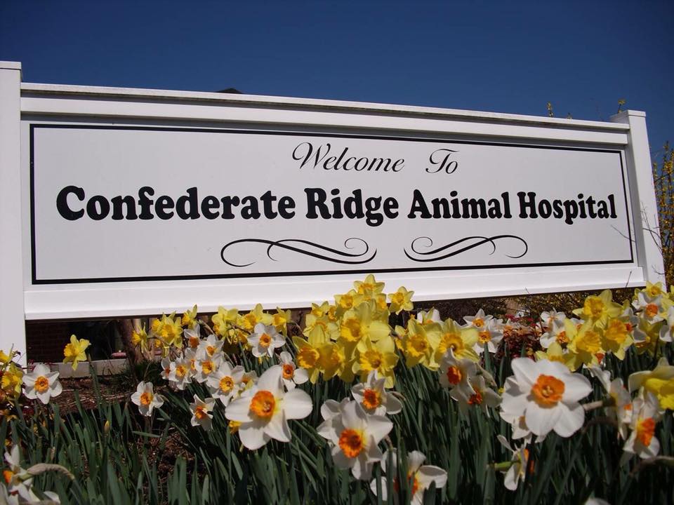 Confederate Ridge Animal Hospital | Fredericksburg, VA Veterinarian